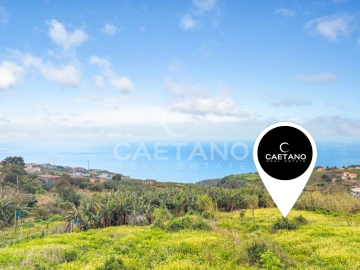 Terreno para Venda em Estreito da Calheta