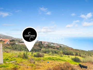 Terreno para Venda em Estreito da Calheta