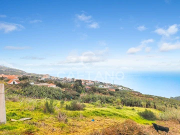Terreno para Venda em Estreito da Calheta