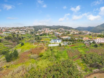 Terreno para Venda em Estreito da Calheta