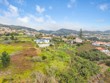 Terreno para Venda em Estreito da Calheta