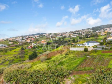 Terreno para Venda em Estreito da Calheta