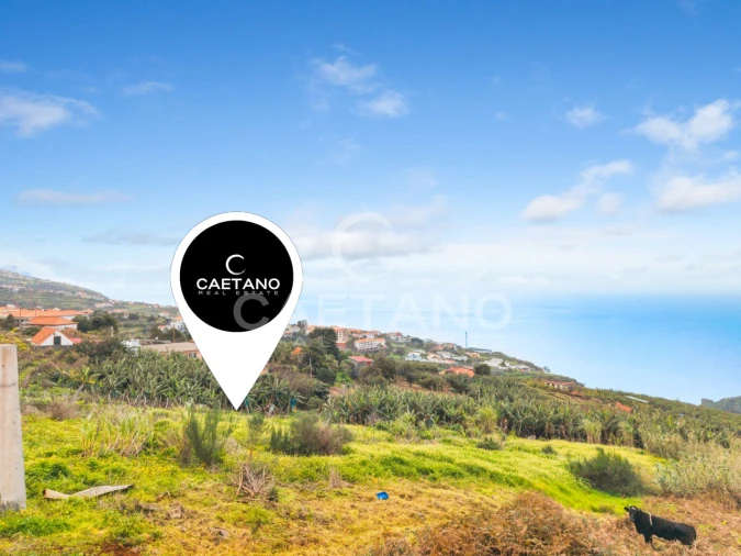 Terreno para Venda em Estreito da Calheta Foto 10