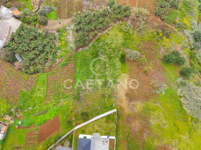 Terreno para Venda em Estreito da Calheta Foto 22