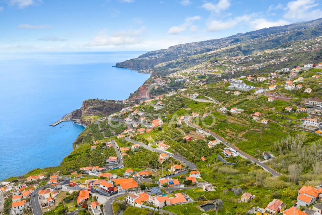 Terreno para Venda em Ribeira Brava Foto 10