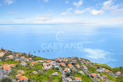 Terreno para Venda em Ribeira Brava