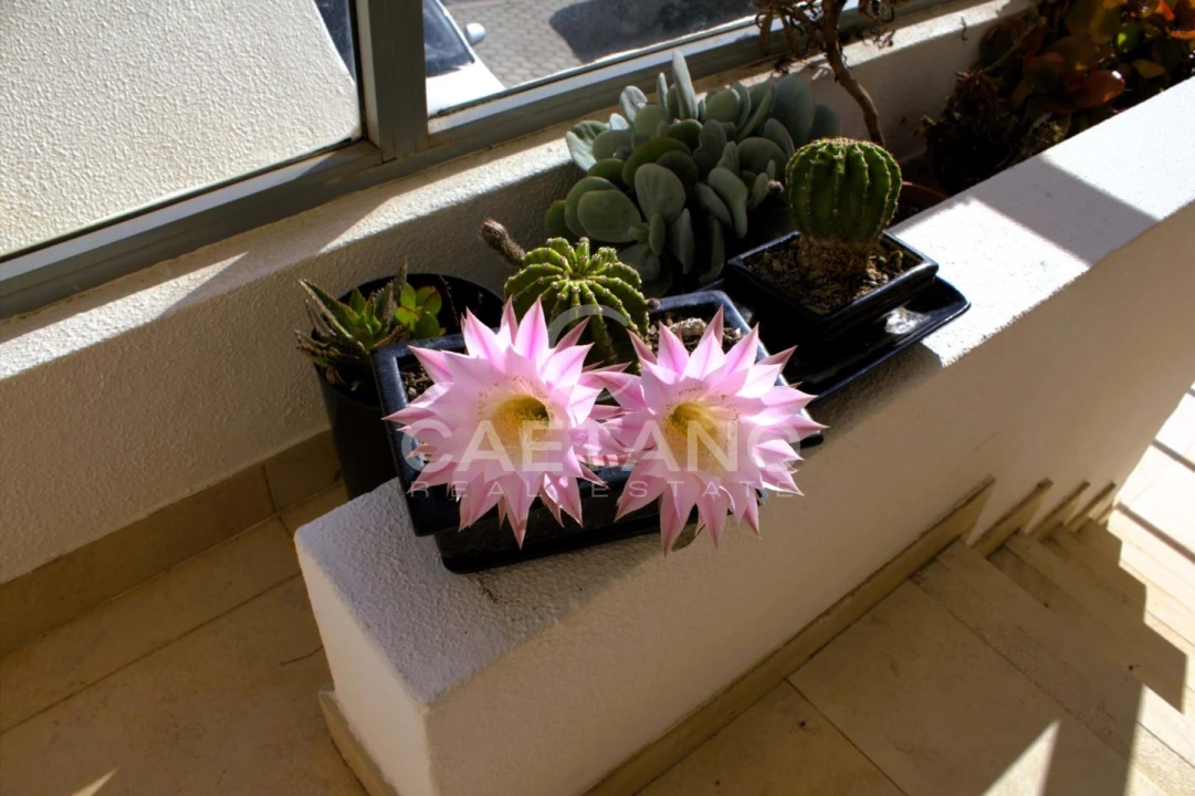 Apartamento T2 para Venda em Portimão Foto 38