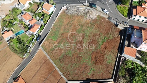 Terreno para Venda em Estreito da Calheta