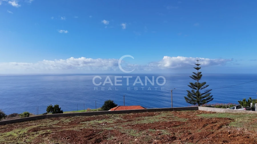 Terreno para Venda em Estreito da Calheta