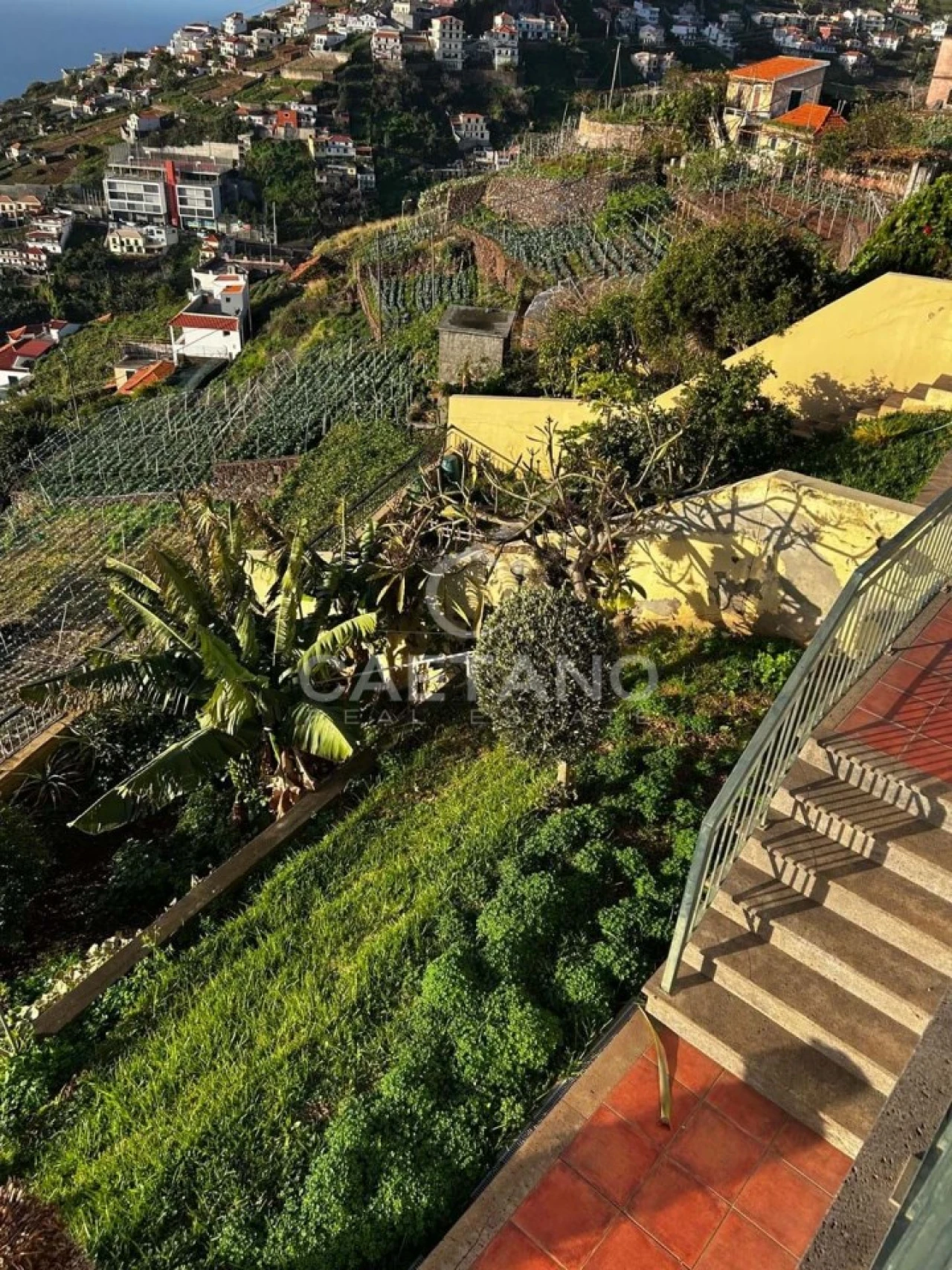 Moradia T3 para Venda em Camara de Lobos Foto 2