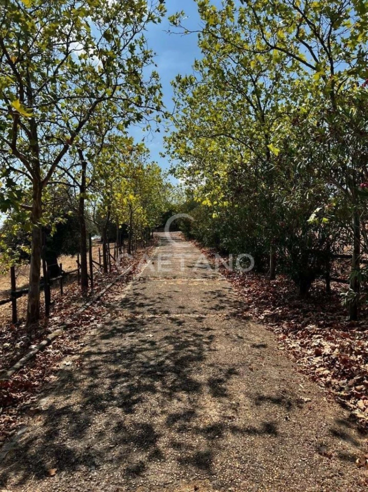 Quinta para Venda em Terrugem e Vila Boim Foto 9