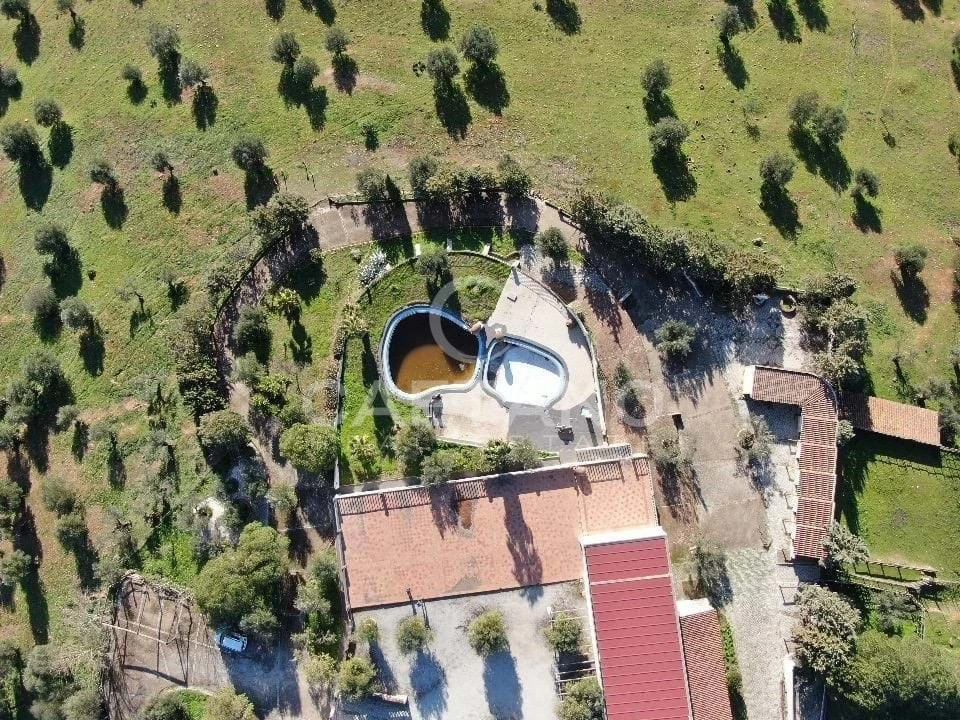 Quinta para Venda em Terrugem e Vila Boim Foto 12
