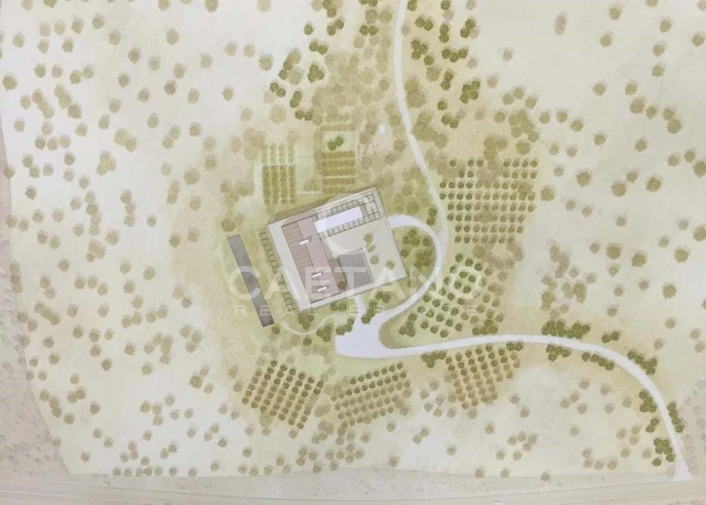 Quinta para Venda em Terrugem e Vila Boim Foto 21