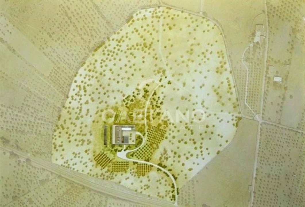Quinta para Venda em Terrugem e Vila Boim Foto 22