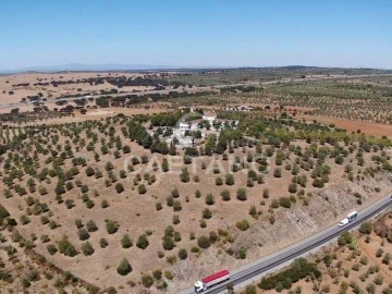 Quinta para Venda em Terrugem e Vila Boim