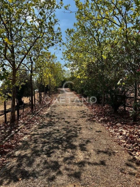 Quinta para Venda em Terrugem e Vila Boim
