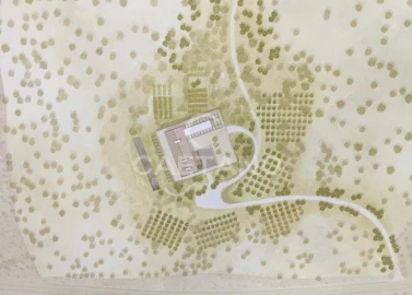 Quinta para Venda em Terrugem e Vila Boim