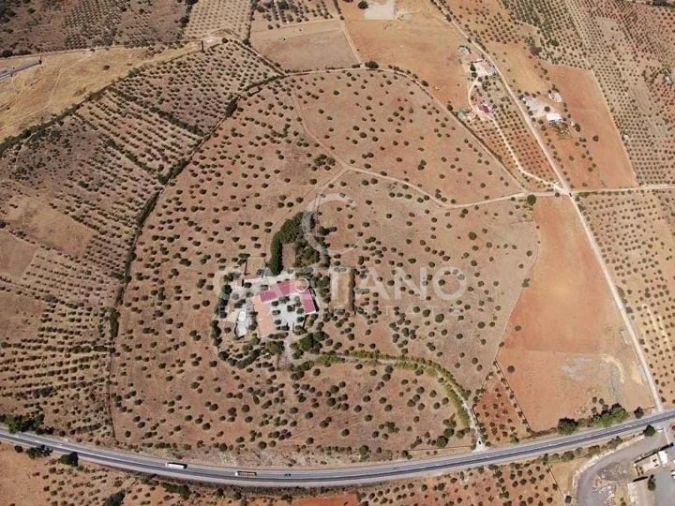Quinta para Venda em Terrugem e Vila Boim Foto 3