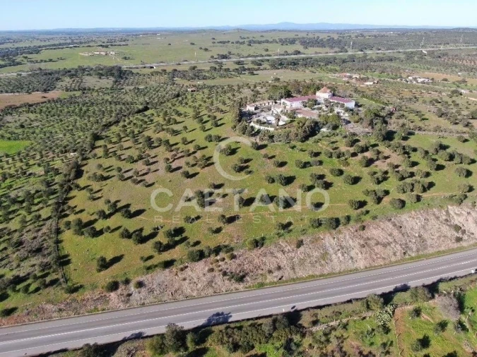 Quinta para Venda em Terrugem e Vila Boim Foto 6