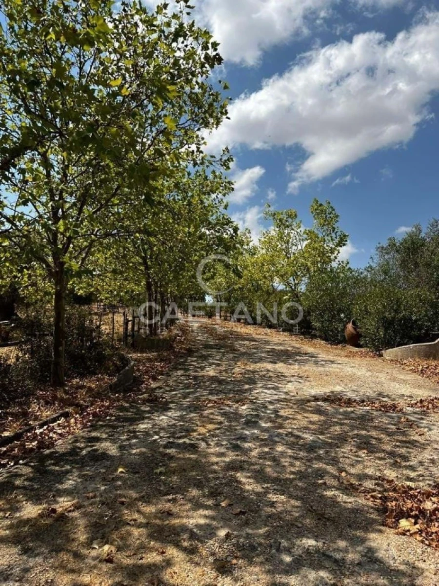 Quinta para Venda em Terrugem e Vila Boim Foto 11