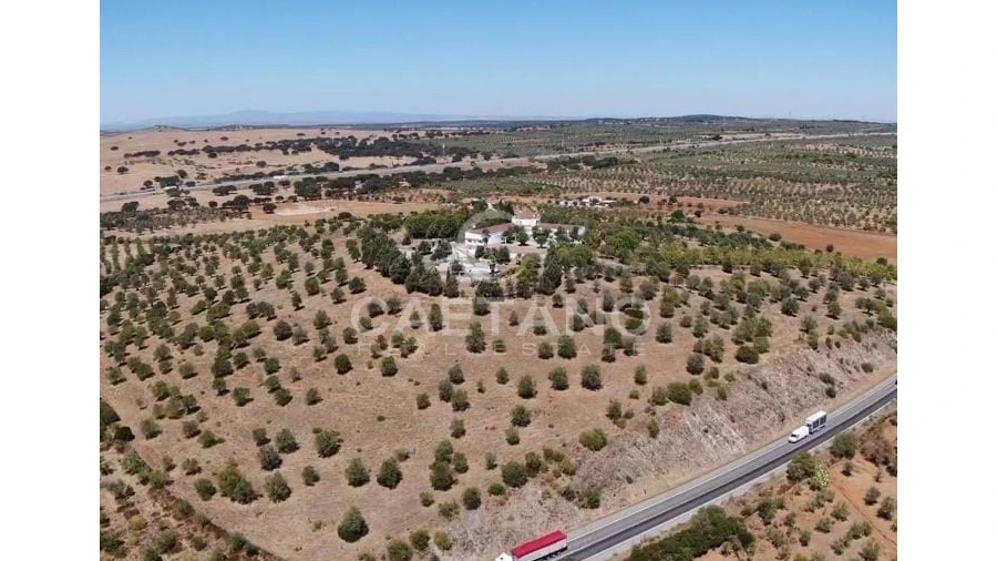 Quinta para Venda em Terrugem e Vila Boim