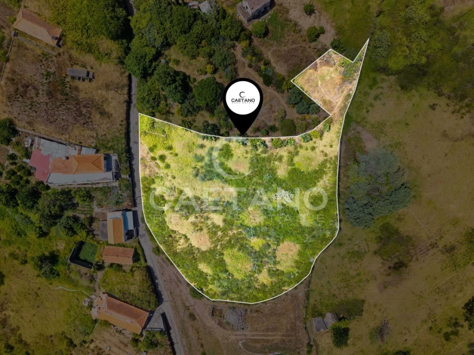 Terreno para Venda em Estreito da Calheta Foto 4