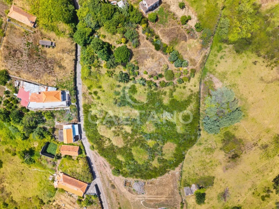 Terreno para Venda em Estreito da Calheta Foto 5