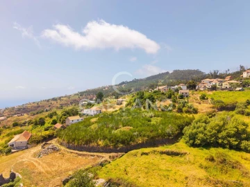 Terreno para Venda em Estreito da Calheta