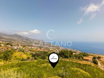Terreno para Venda em Estreito da Calheta