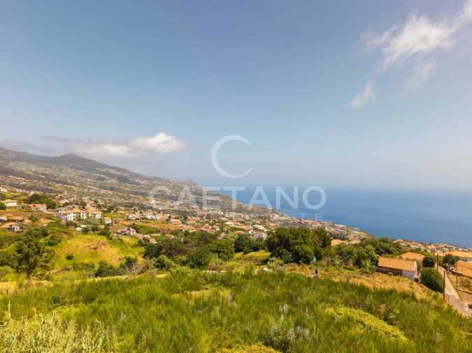 Terreno para Venda em Estreito da Calheta Foto 26