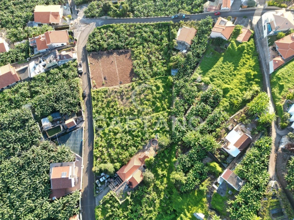 Terreno para Venda em Arco da Calheta Foto 5