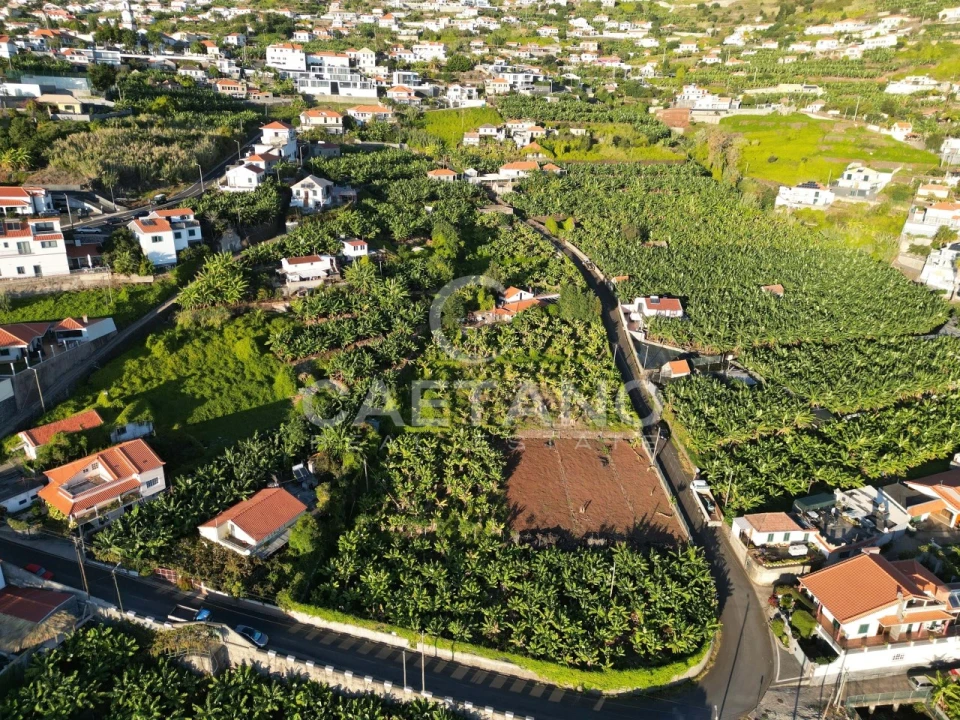 Terreno para Venda em Arco da Calheta Foto 4