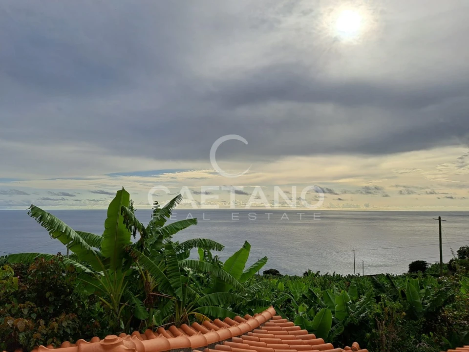 Terreno para Venda em Arco da Calheta Foto 13