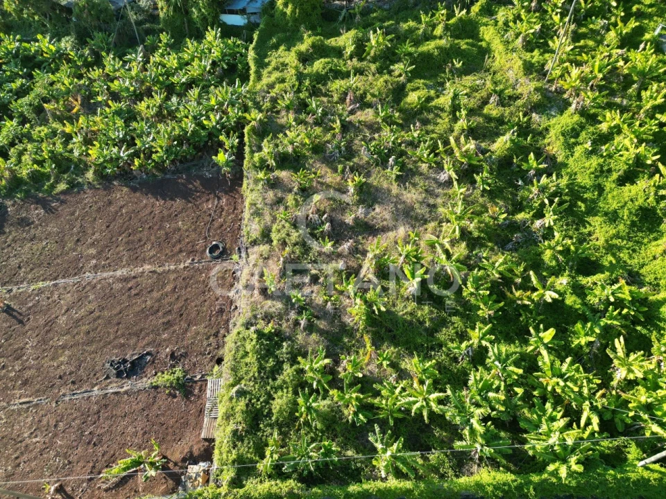 Terreno para Venda em Arco da Calheta Foto 18