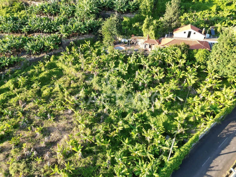 Terreno para Venda em Arco da Calheta Foto 19