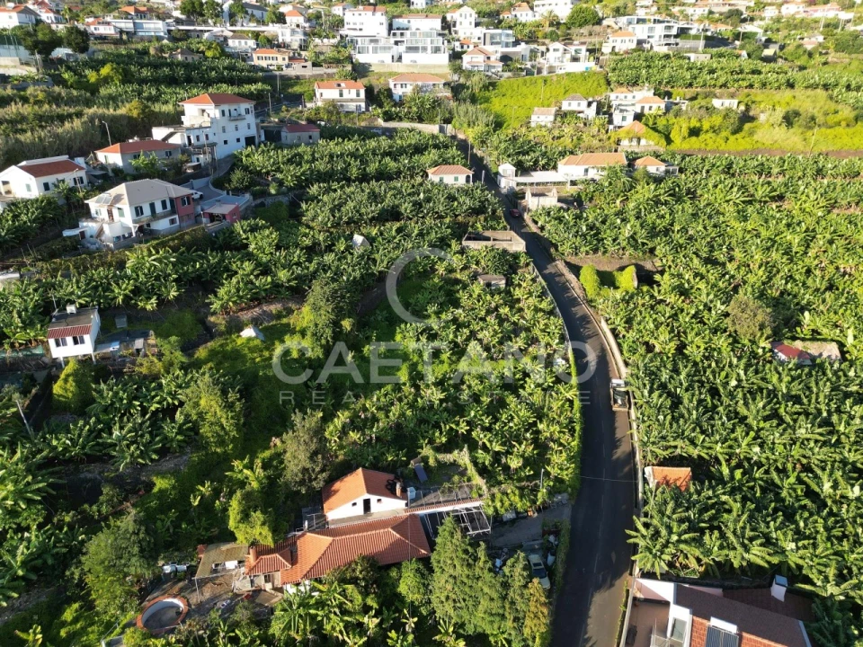 Terreno para Venda em Arco da Calheta Foto 21