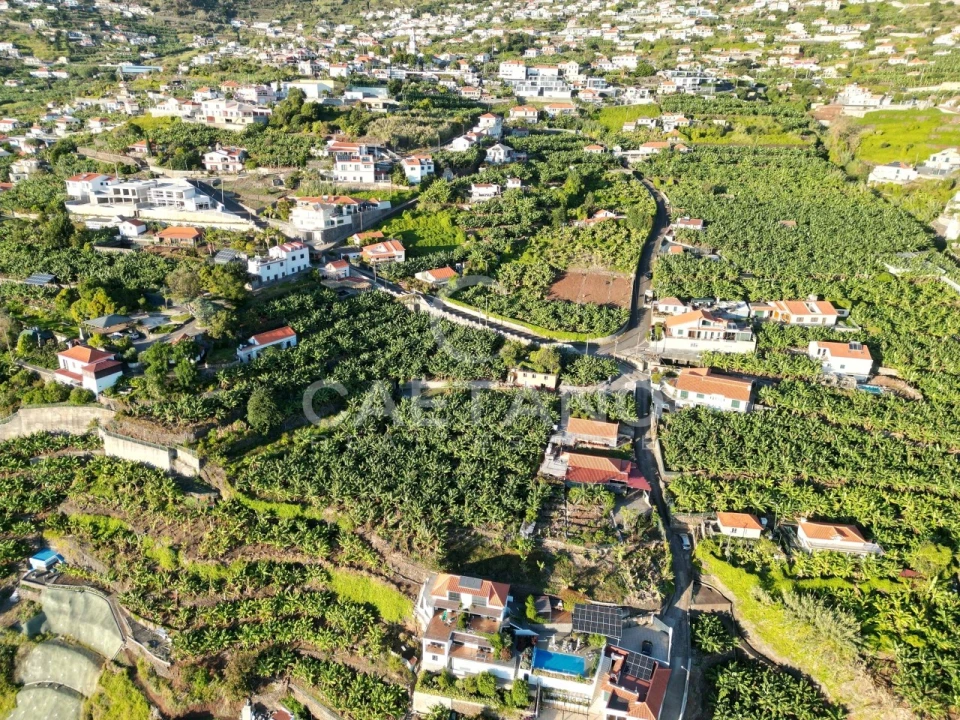 Terreno para Venda em Arco da Calheta Foto 26