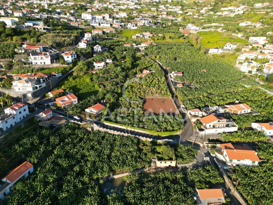 Terreno para Venda em Arco da Calheta Foto 29