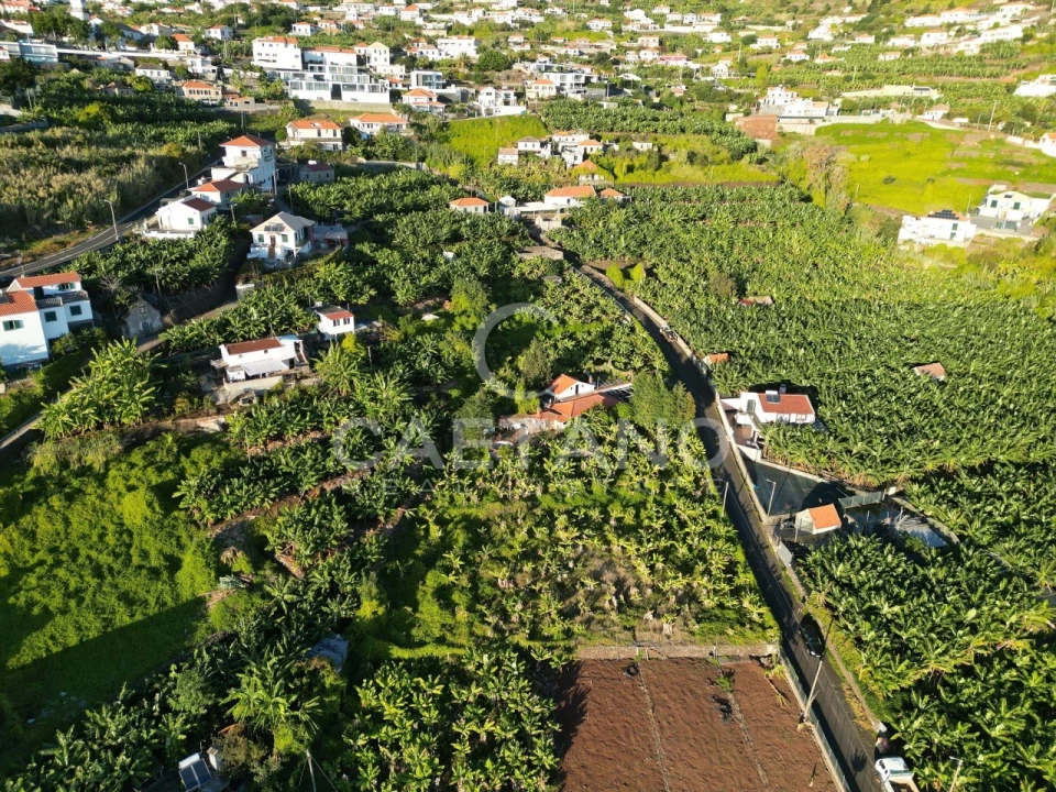 Terreno para Venda em Arco da Calheta Foto 30