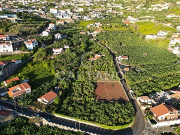 Terreno para Venda em Arco da Calheta