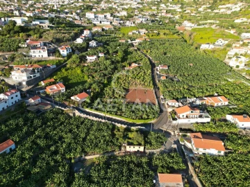 Terreno para Venda em Arco da Calheta