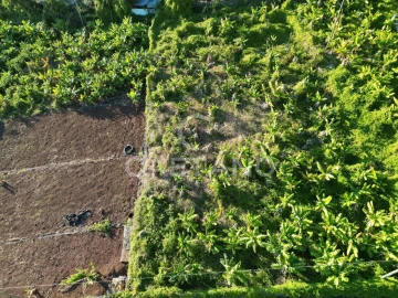 Terreno para Venda em Arco da Calheta