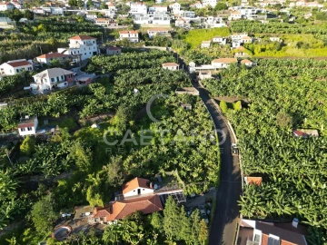 Terreno para Venda em Arco da Calheta