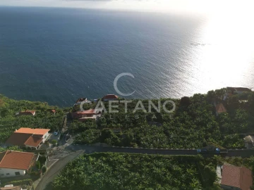 Terreno para Venda em Arco da Calheta