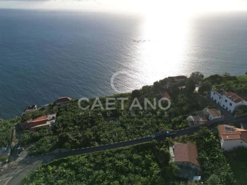Terreno para Venda em Arco da Calheta
