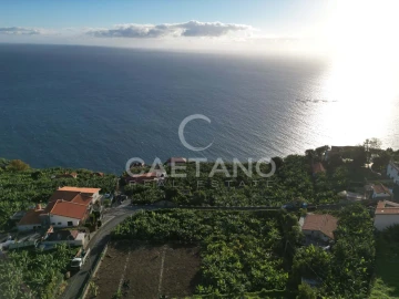 Terreno para Venda em Arco da Calheta