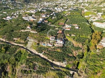 Terreno para Venda em Arco da Calheta