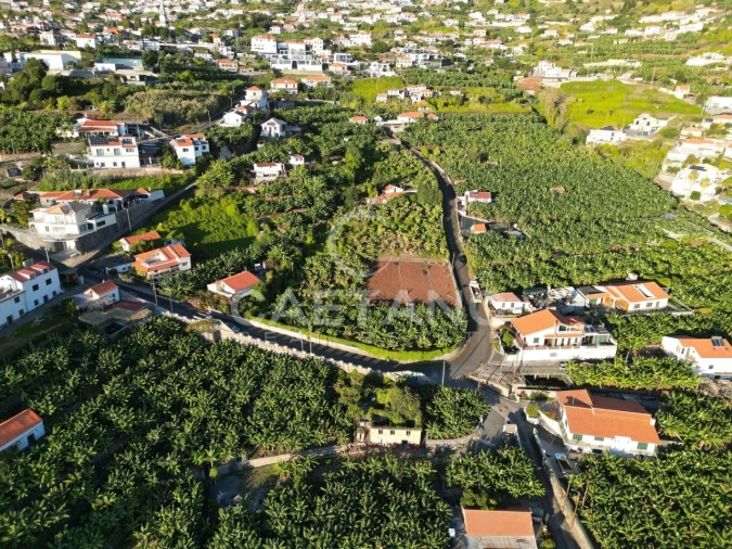 Terreno para Venda em Arco da Calheta Foto 7
