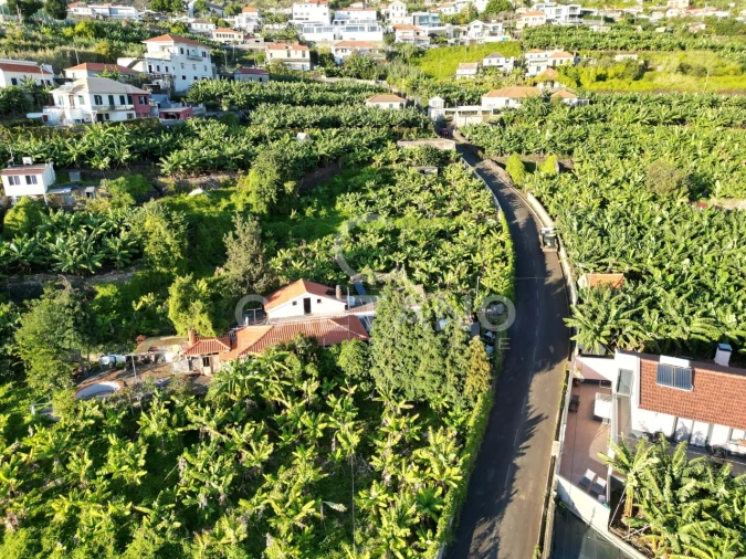 Terreno para Venda em Arco da Calheta Foto 20