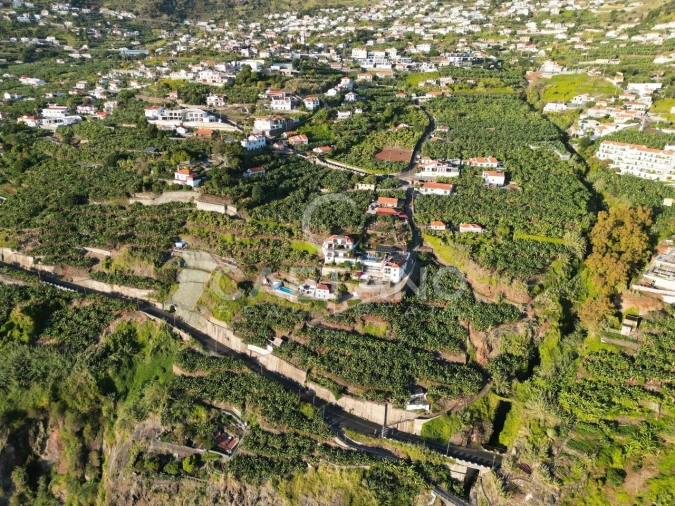 Terreno para Venda em Arco da Calheta Foto 27